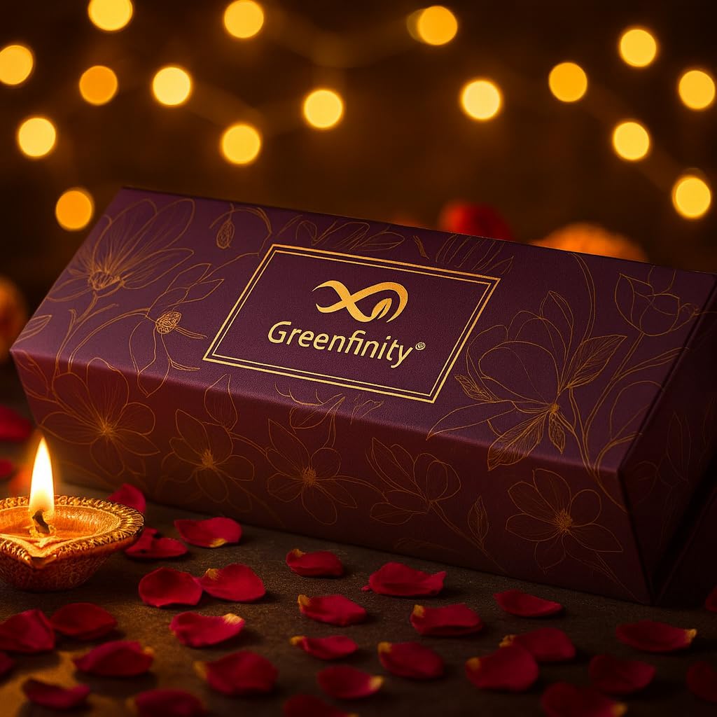 GreenFinity Premium Dry Fruits Gift Box 600g | 200g Each of Almonds, Cashews & Cranberries