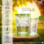 GreenFinity Premium Seedless Green Raisins 500g