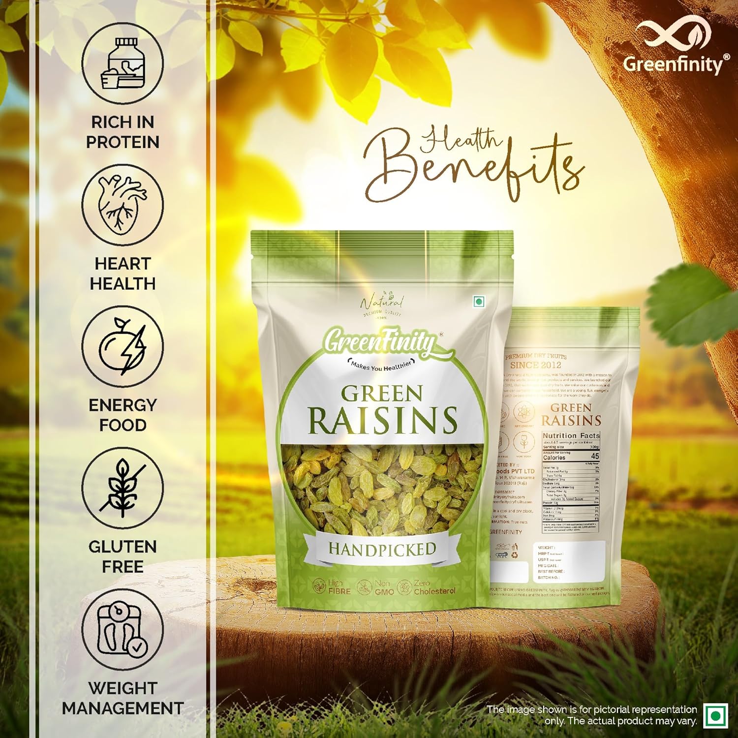 GreenFinity Premium Seedless Green Raisins 1kg