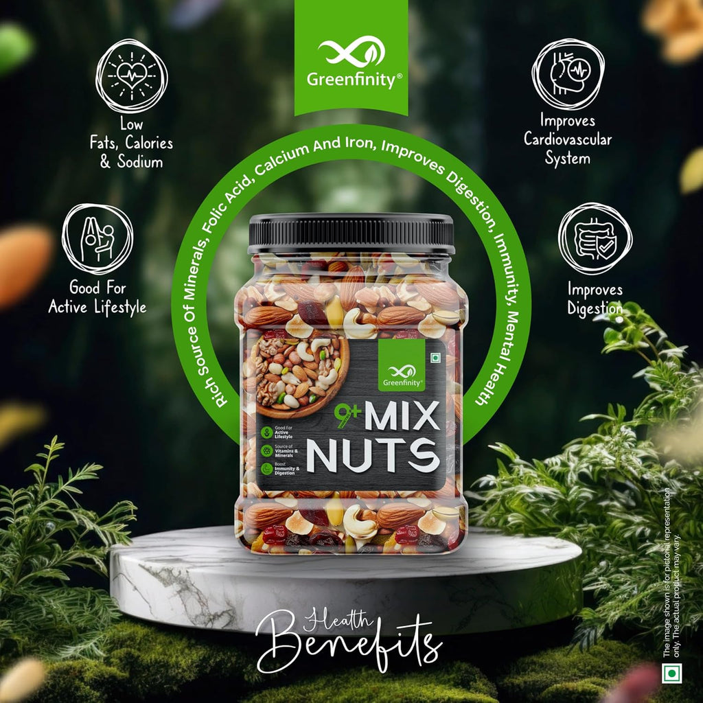 GreenFinity Healthy Nutmix  - 500g (Pack of 2)