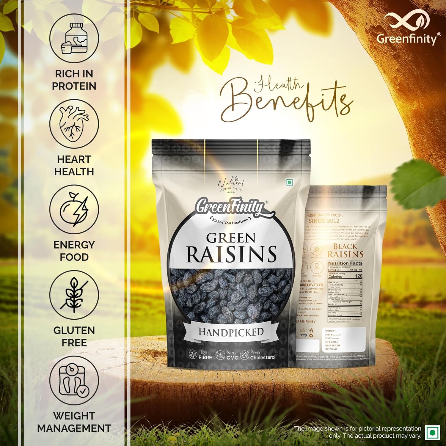 GreenFinity Premium Afghani Seedless Black Raisins - 500g