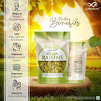 GreenFinity Premium Seedless Green Raisins 500g