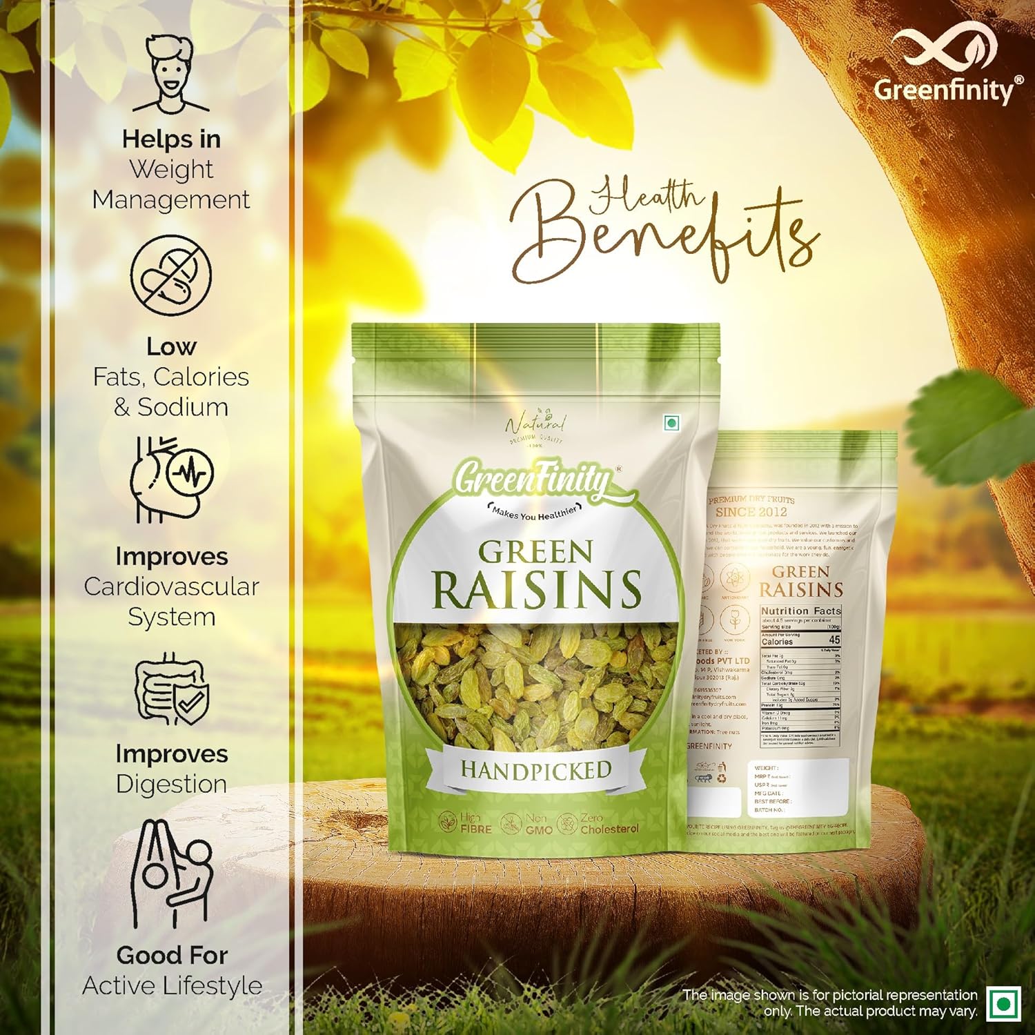 GreenFinity Premium Seedless Green Raisins 1kg